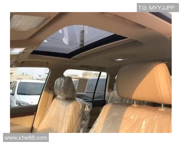 重庆羽毛球队在洲际杯积分榜上以84分稳居第一名展现强劲实力