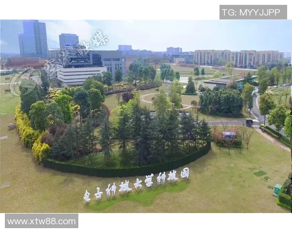 于德豪的成长之路与职业生涯探索：从青涩学子到行业领军人物的蜕变历程