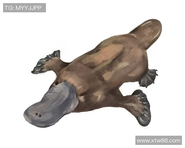 探索弗格的魅力与影响力揭示其在现代文化中的独特地位与价值