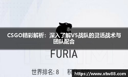 CSGO精彩解析：深入了解V5战队的灵活战术与团队配合